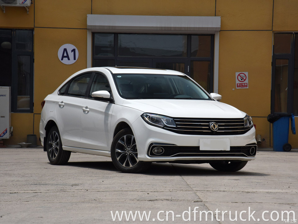 Dongfeng S50(14)